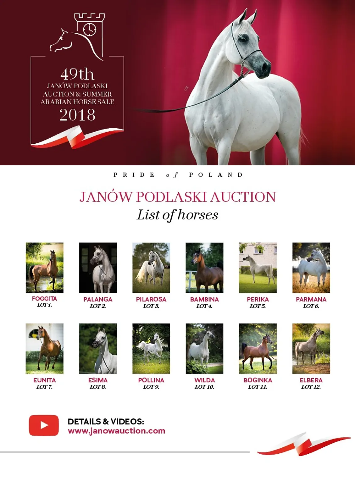janow podlaski 2018.jpg